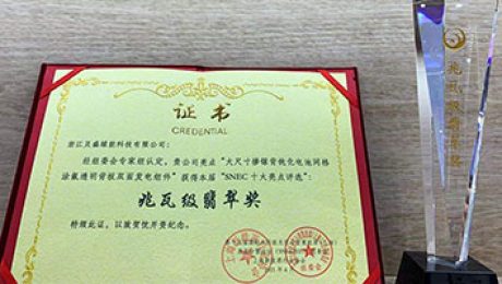 Day3持續(xù)高能！貝盛綠能榮獲SNEC十大亮點(diǎn)評(píng)選兆瓦級(jí)翡翠獎(jiǎng)！